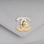 Chanel Seasonal Chain Flap Bag - Grey Calfskin | Gold & Silver Hardware