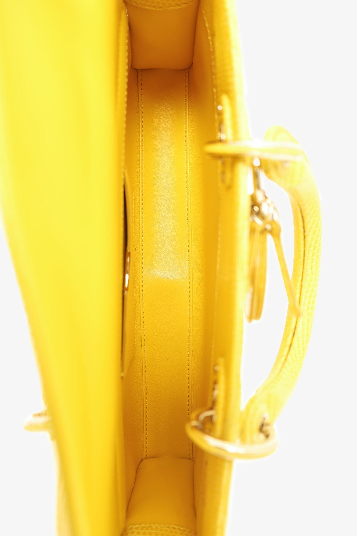 Christian Dior 2016 Lizard Leather Medium D-Joy Bag with Strap