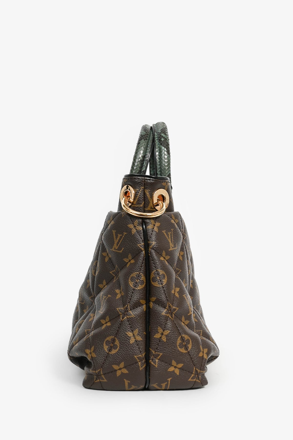 Louis Vuitton 2012 Monogram Canvas/Python/Ostrich 'Etoile Exotique' MM Bag with 2 Straps