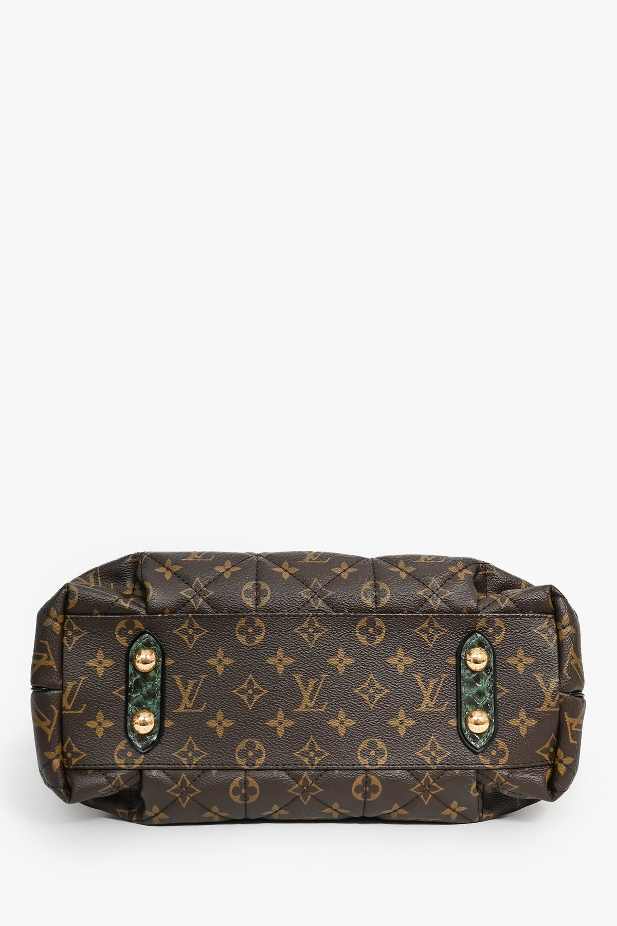 Louis Vuitton 2012 Monogram Canvas/Python/Ostrich 'Etoile Exotique' MM Bag with 2 Straps