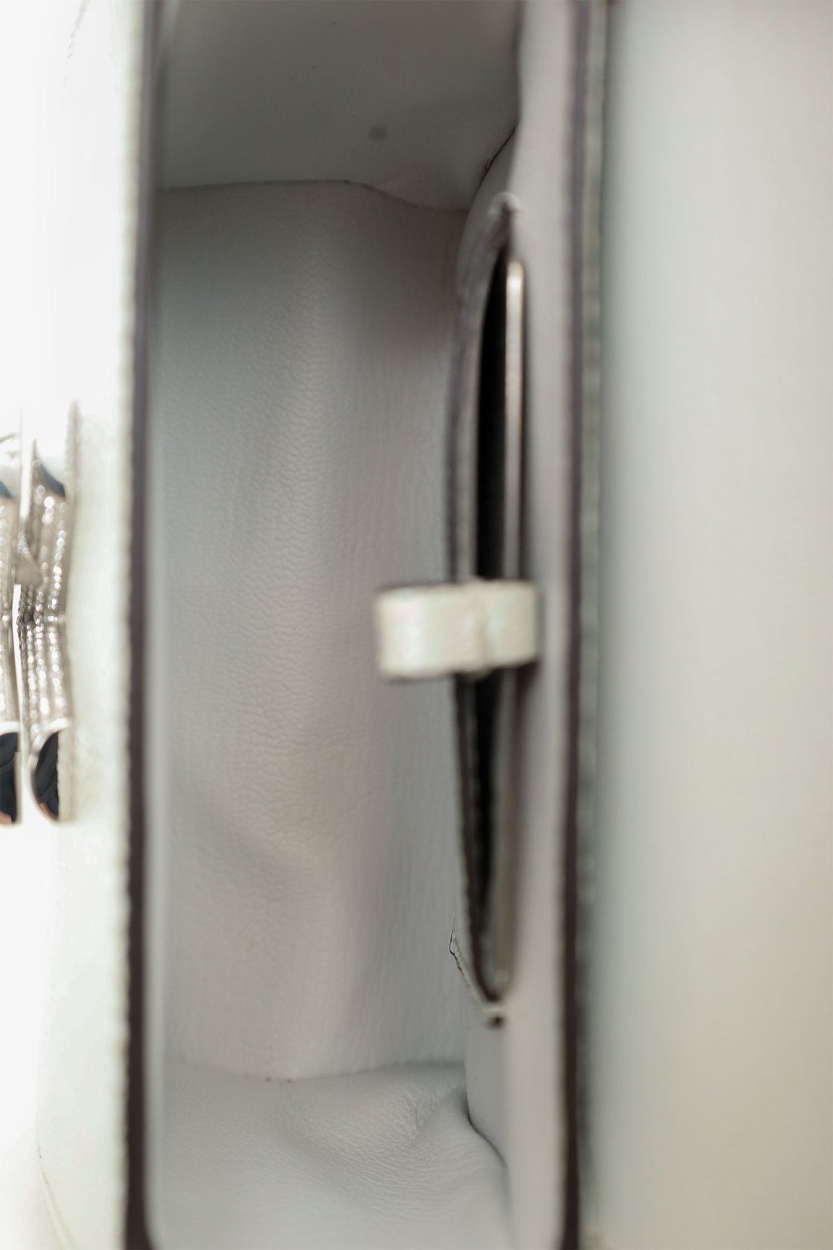 Louis Vuitton 2020 White Iridescent Karung Leather Twist Mini with Crystal Buckle