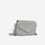 Chanel Seasonal Chain Flap Bag - Grey Calfskin | Gold & Silver Hardware
