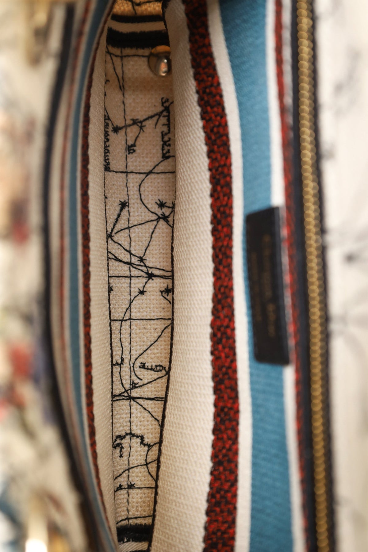 Christian Dior 2021 Blue/Red Embroidered Medium Lady D-Lite Bag with Strap