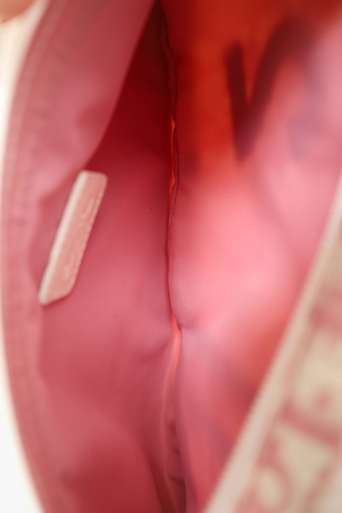 Christian Dior 2004 Rose Clair Logo Print Nylon No. 2 Girly Waist Belt Bag