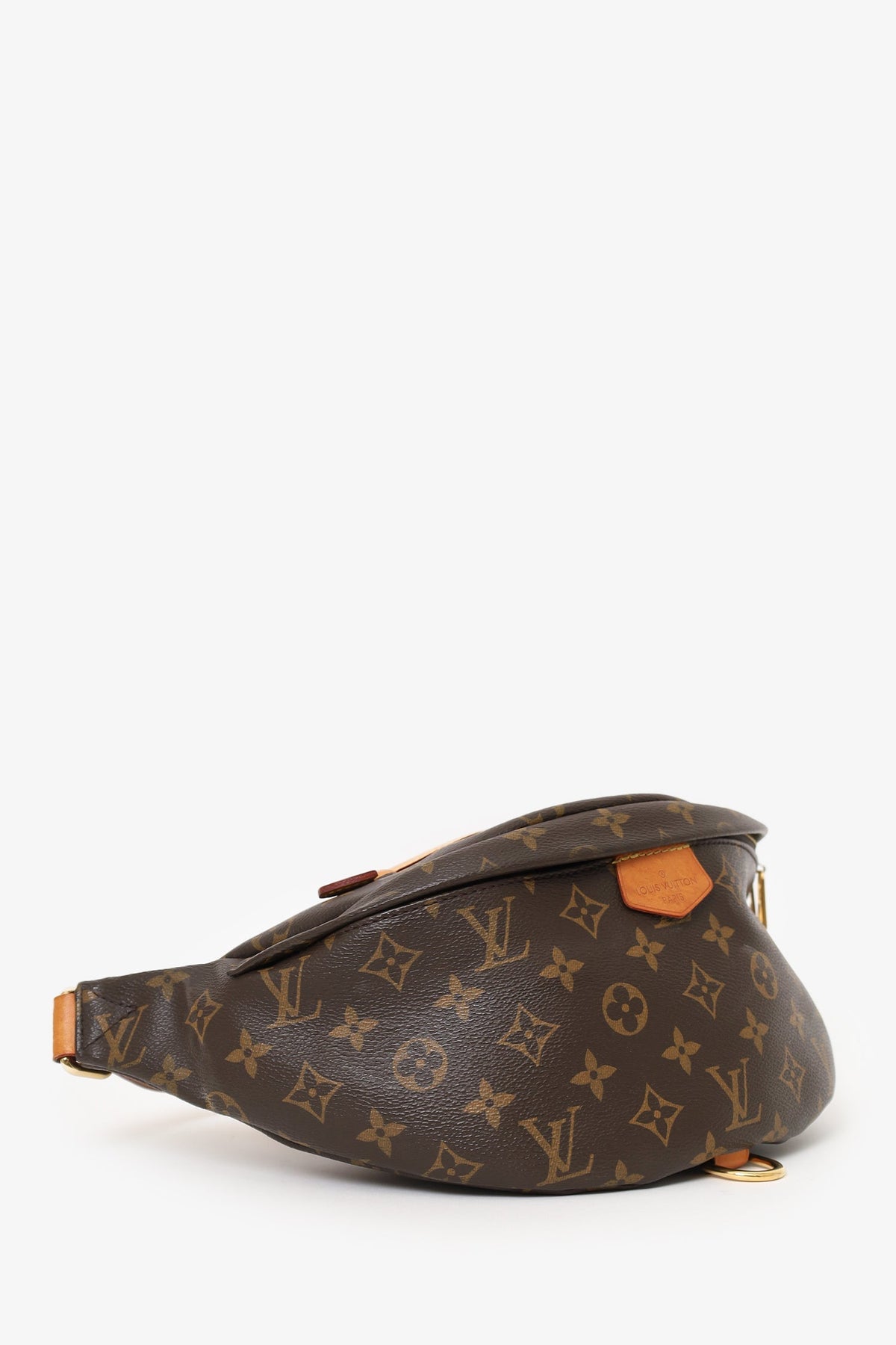 Louis Vuitton 2018 Monogram Bum Bag